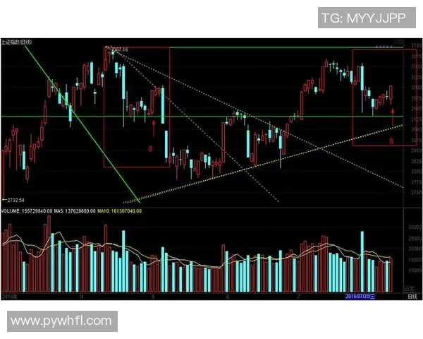 西安网球队防守策略深度分析与战术解读