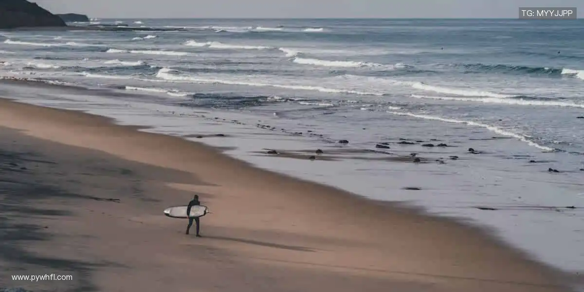 🎁球迷必备,周边狂欢!👕穿上热爱,让世界见证你的主队精神!